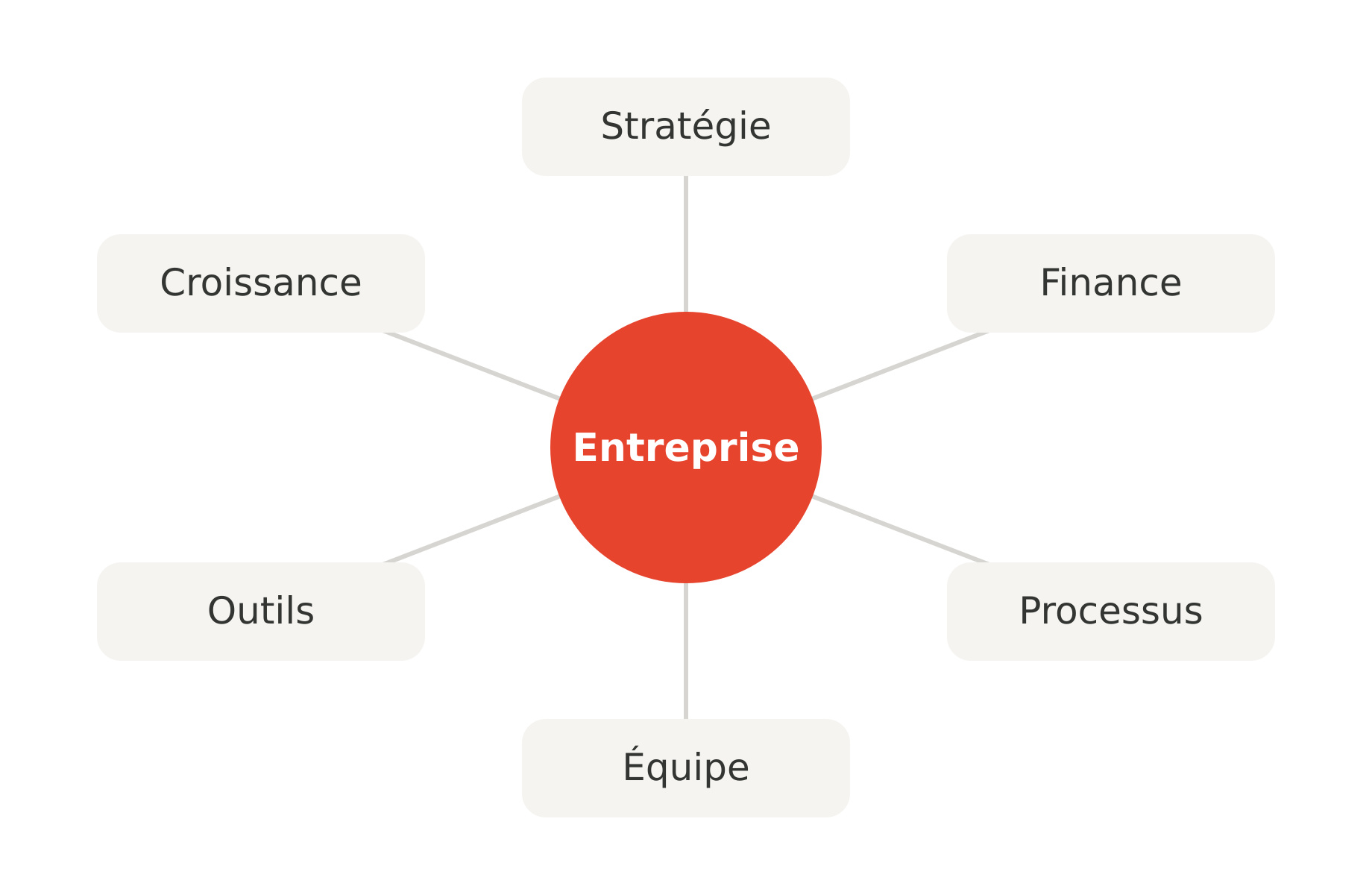 Schéma montrant l'entreprise au centre, reliée à six dimensions : stratégie, croissance, finance, processus, outils et équipe.